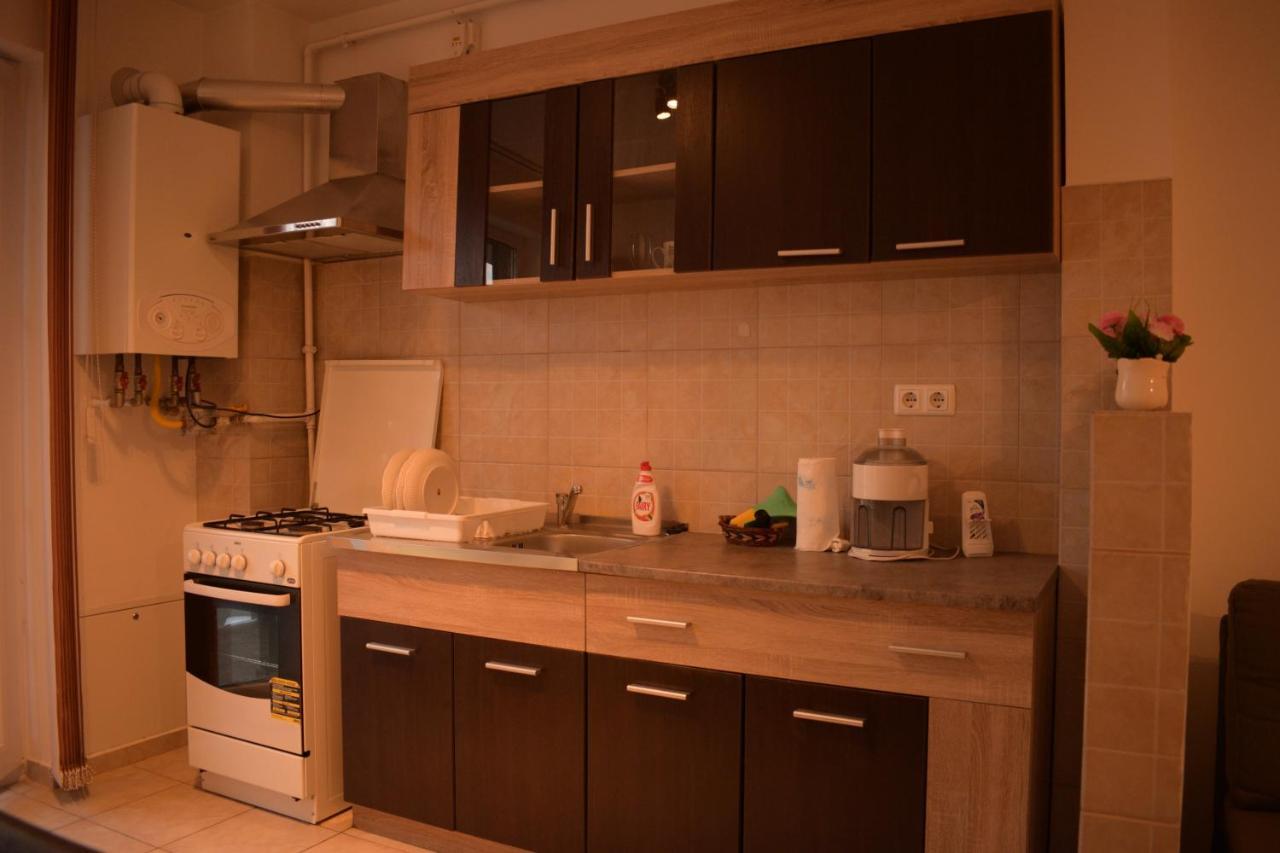Apartament Alexandru Lägenhet Sibiu Exteriör bild